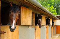 free Euston stable construction quotes